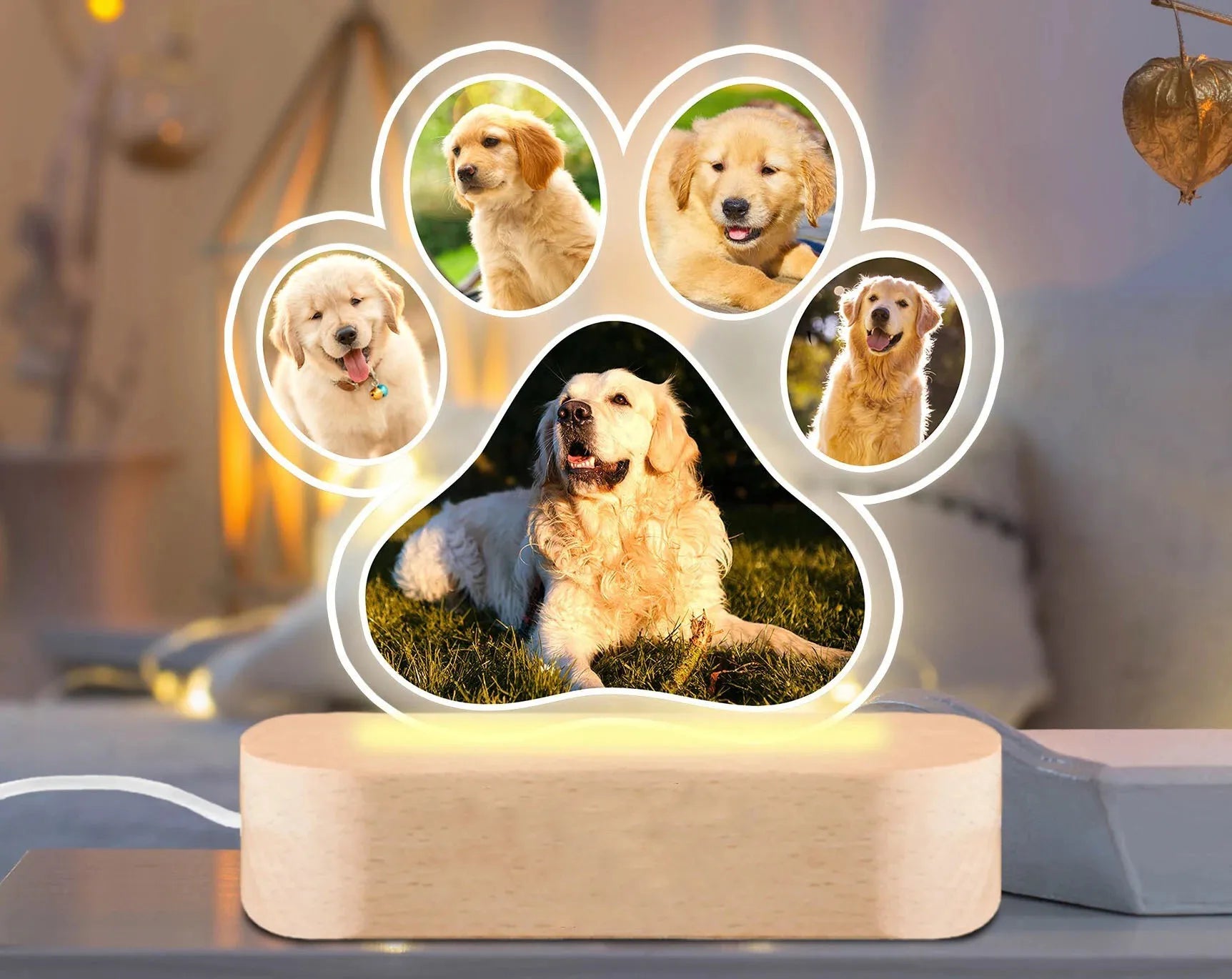 My Golden Paw