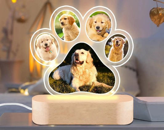 My Golden Paw