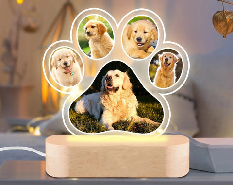 My Golden Paw